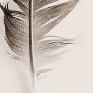 Meet your Posher, Elina